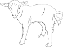 Goat Clipart