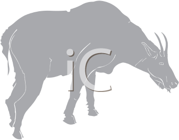 Royalty Free Goat Clipart