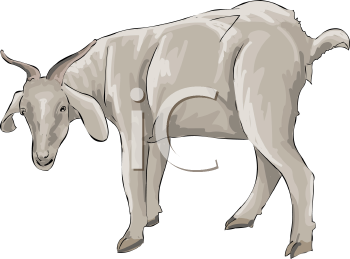 Goat Clipart