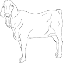 Goat Clipart