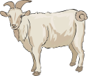 Goat Clipart