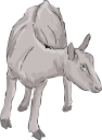 Goat Clipart