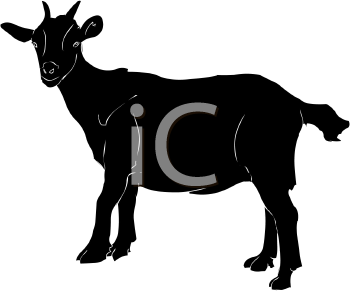 Goat Clipart