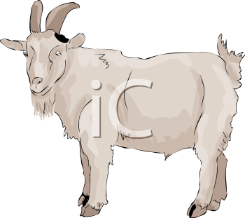 Goat Clipart