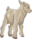 Goat Clipart