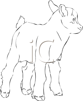 Goat Clipart