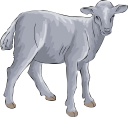Goat Clipart