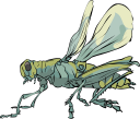 Grasshopper Clipart
