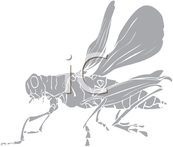 Grasshopper Clipart