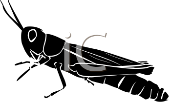 Grasshopper Clipart