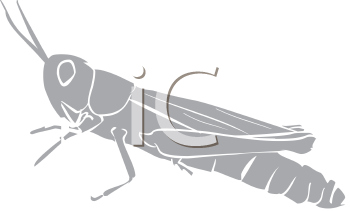 Grasshopper Clipart