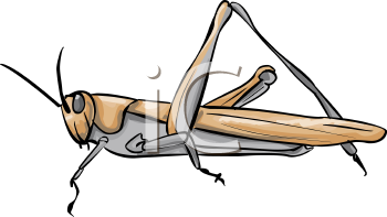 Grasshopper Clipart