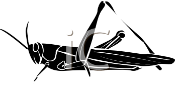 Grasshopper Clipart