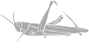 Grasshopper Clipart