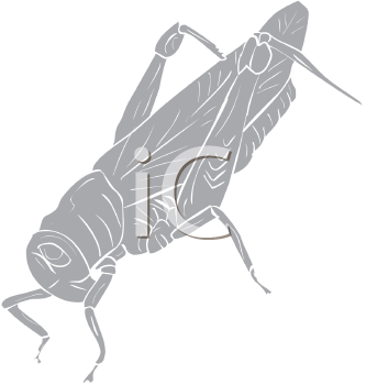 Grasshopper Clipart
