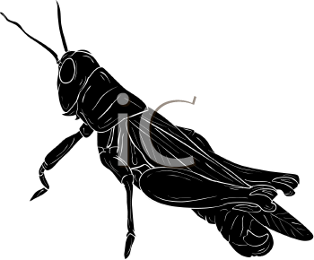 Grasshopper Clipart