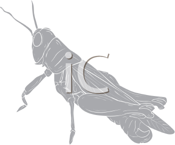 Grasshopper Clipart