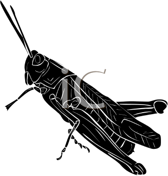Grasshopper Clipart