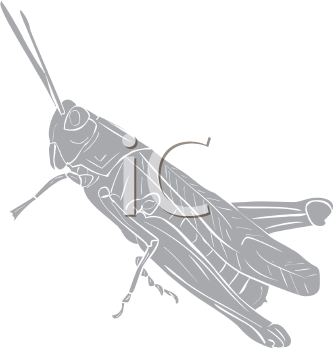 Grasshopper Clipart