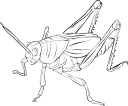 Grasshopper Clipart