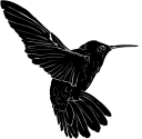 Hummingbird Clipart