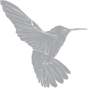 Hummingbird Clipart