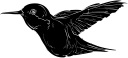 Hummingbird Clipart