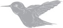 Hummingbird Clipart