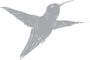 Hummingbird Clipart