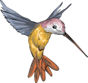 Hummingbird Clipart