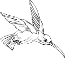 Hummingbird Clipart