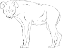Hyena Clipart