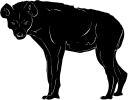 Hyena Clipart