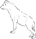Hyena Clipart