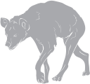 Hyena Clipart
