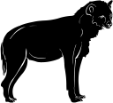 Hyena Clipart