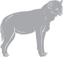 Hyena Clipart