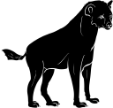 Hyena Clipart
