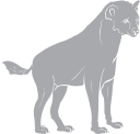 Hyena Clipart