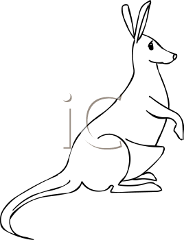 Kangaroo Clipart