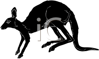 Kangaroo Clipart