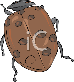 Ladybug Clipart
