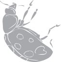 Ladybug Clipart