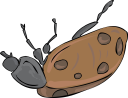 Ladybug Clipart