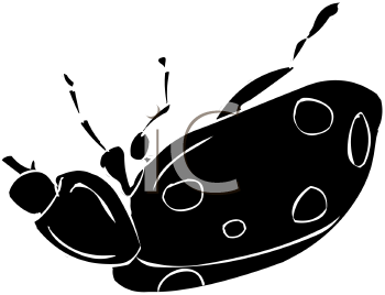 Ladybug Clipart