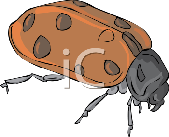 Ladybug Clipart