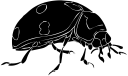Ladybug Clipart