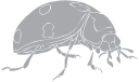 Ladybug Clipart