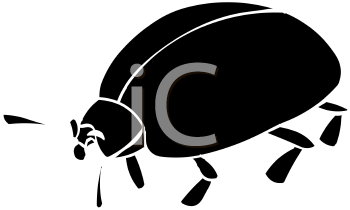 Ladybug Clipart
