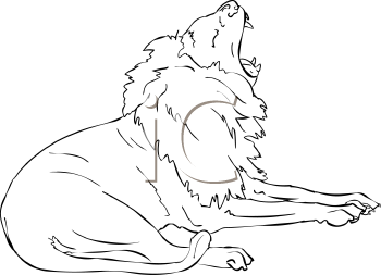 Lion Clipart